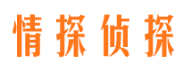 阳新寻人公司